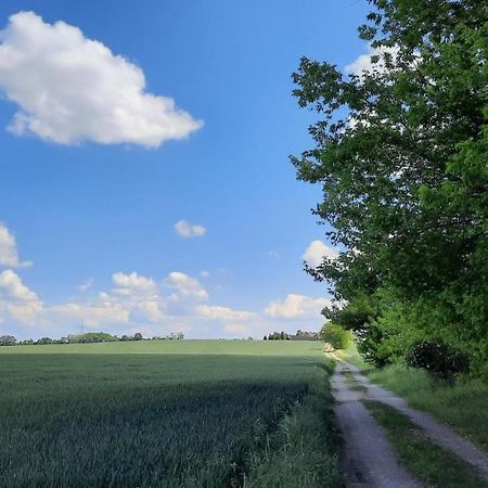 Vierseitenhof Hasenfelde - Ferienwohnung Feldblick Steinhofel Luaran gambar