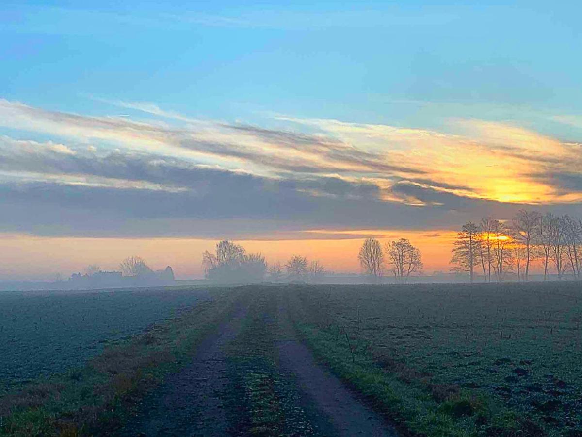 Vierseitenhof Hasenfelde - Ferienwohnung Feldblick Steinhofel Luaran gambar