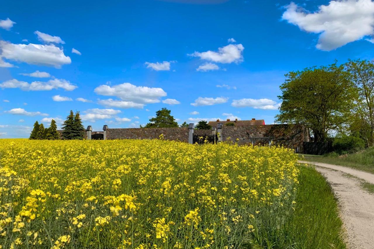 Vierseitenhof Hasenfelde - Ferienwohnung Feldblick Steinhofel Luaran gambar