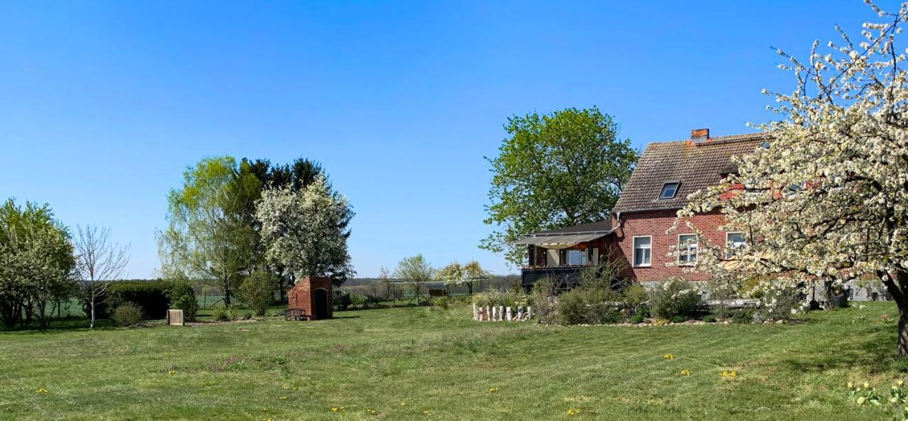 Vierseitenhof Hasenfelde - Ferienwohnung Feldblick Steinhofel Luaran gambar