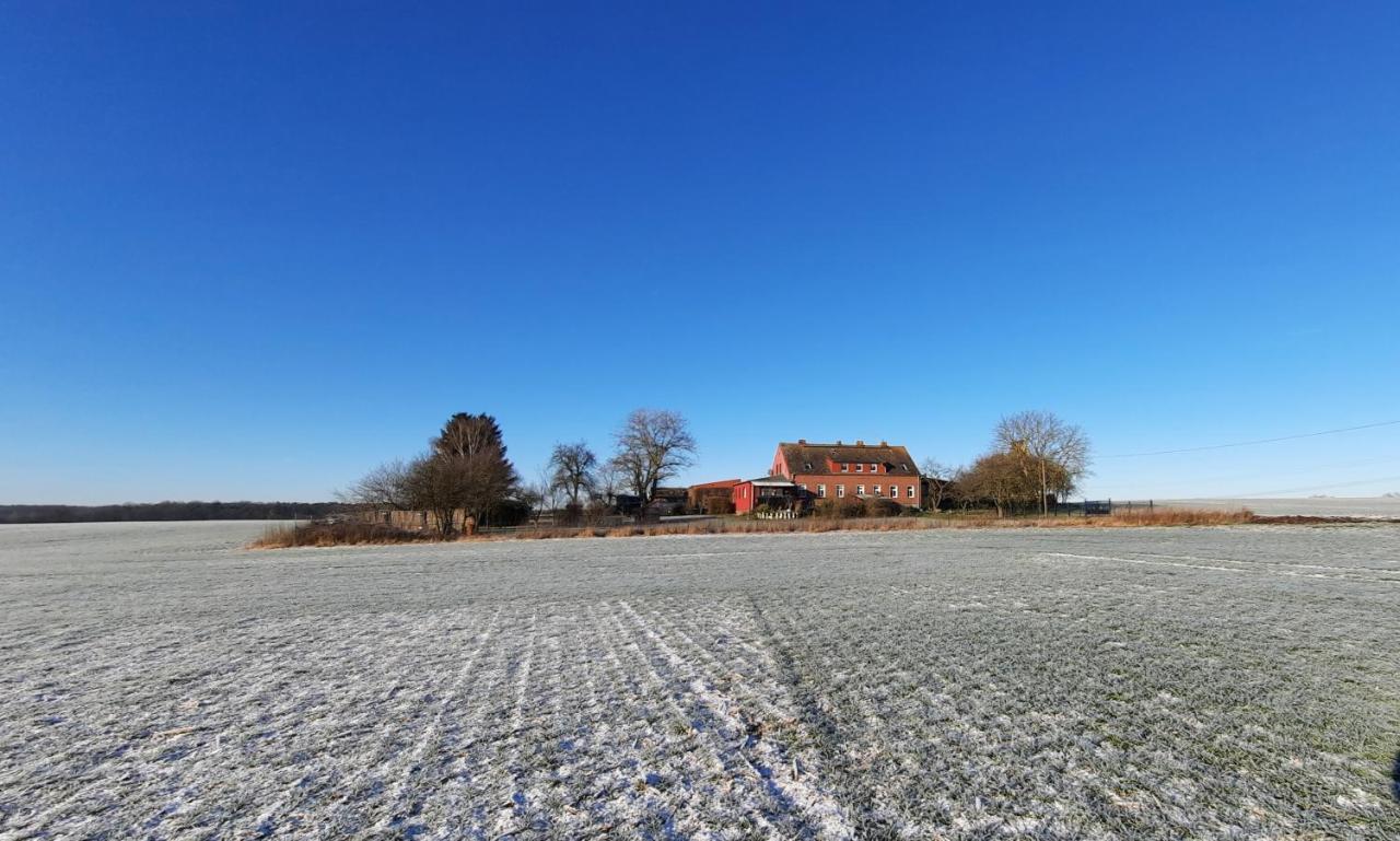 Vierseitenhof Hasenfelde - Ferienwohnung Feldblick Steinhofel Luaran gambar