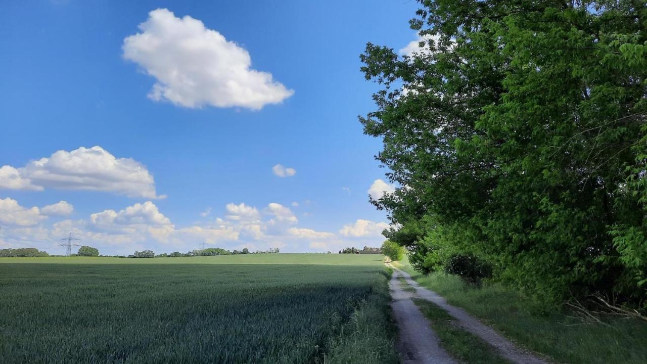 Vierseitenhof Hasenfelde - Ferienwohnung Feldblick Steinhofel Luaran gambar